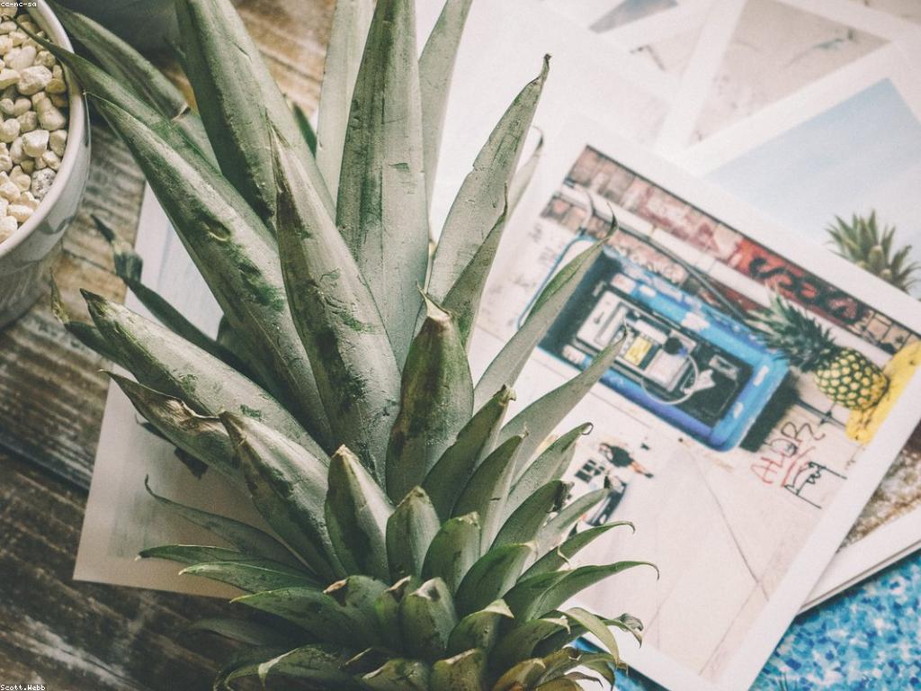 អត្ថបទពិសេសនិងសារៈសំខាន់របស់វា​ក្នុង​ប្រព័ន្ធផ្សព្វផ្សាយ