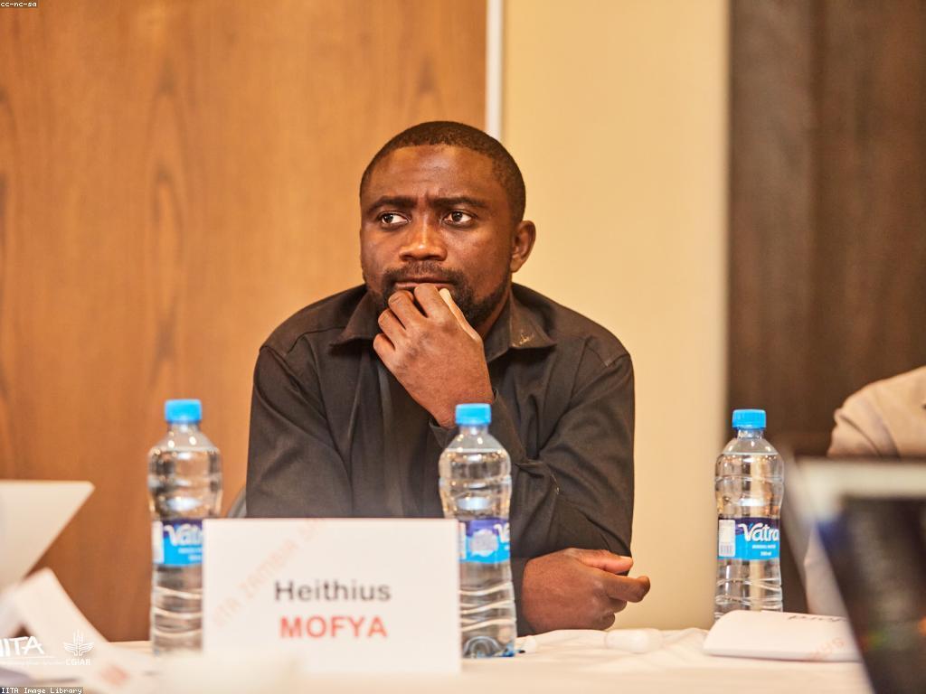 ស្រាវជ្រាវ និងការអភិវឌ្ឍន៍ស្លត