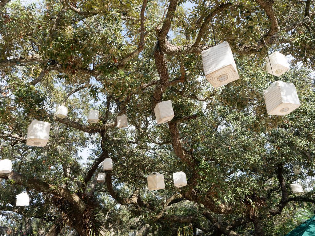 ការស្រាវជ្រាវថ្មីៗអំពីស្លតនៅឆ្នាំ២០២៣