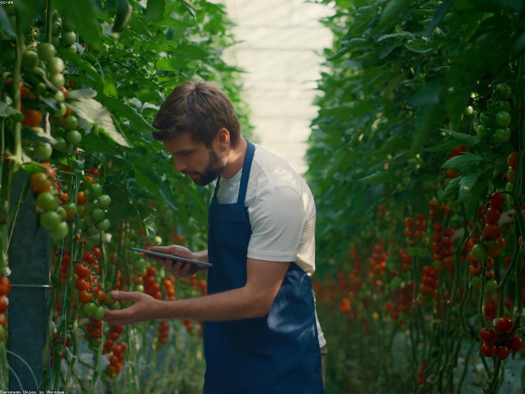 នវានុវត្តន៍និងបច្ចេកវិទ្យាថ្មីៗនៅក្នុងវិស័យស្លត