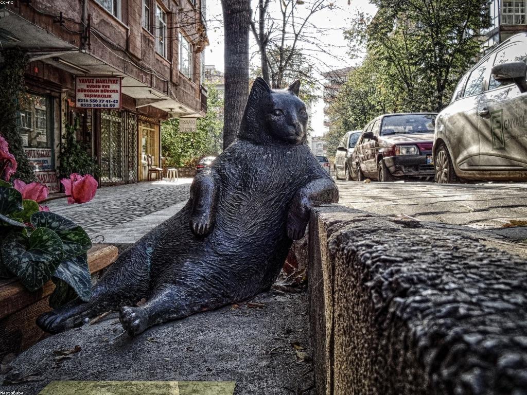 ព័ត៌មានថ្មីៗអំពីស្លត